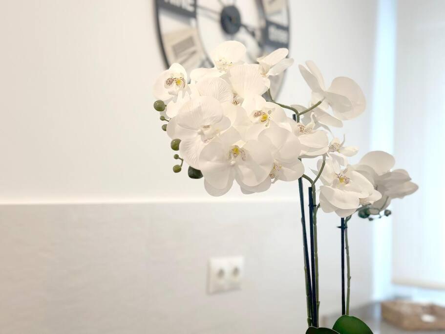 Apartamento Reformado En Сантонья Экстерьер фото